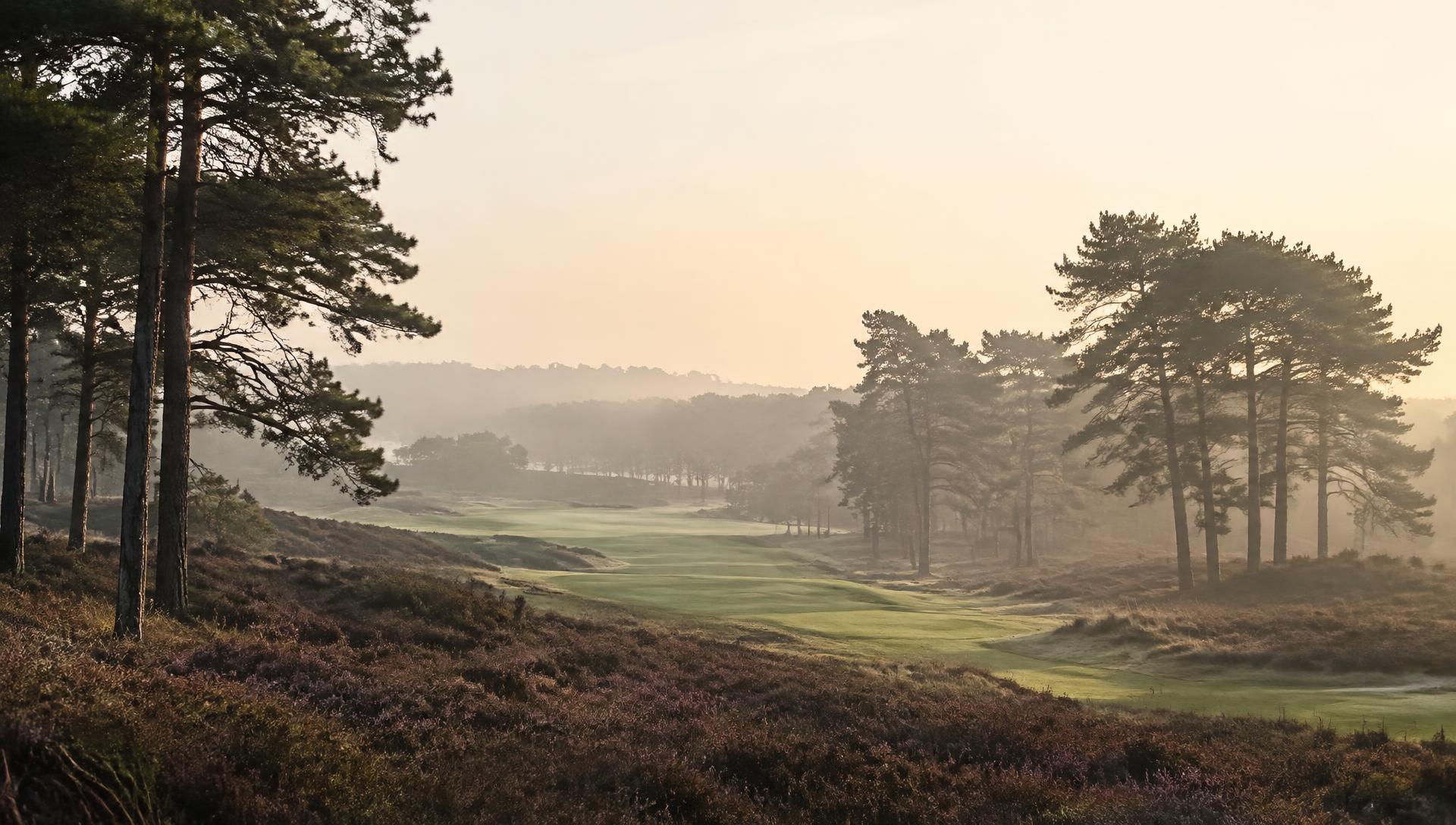 Misty heathland fairway at dawn